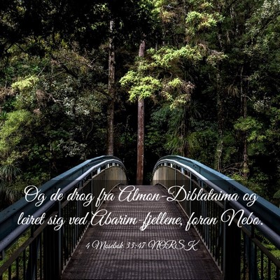 Picture 03 - 4 Mosebok 33:47 NORSK - Og de drog fra Almon-Diblataima og leiret sig ved - Bible Verse Picture