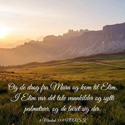 Picture 03 - 4 Mosebok 33:9 NORSK - Og de drog fra Mara og kom til Elim. I Elim var - Bible Verse Picture