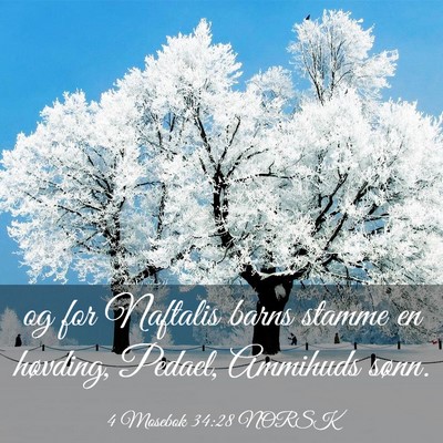 Picture 03 - 4 Mosebok 34:28 NORSK - og for Naftalis barns stamme en høvding, Pedael, - Bible Verse Picture