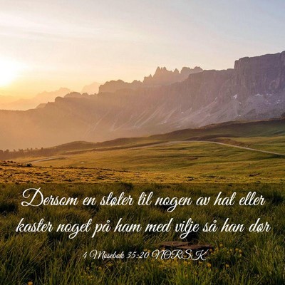 Picture 03 - 4 Mosebok 35:20 NORSK - Dersom en støter til nogen av hat eller kaster - Bible Verse Picture