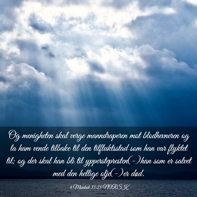 Picture 03 - 4 Mosebok 35:25 NORSK - Og menigheten skal verge manndraperen mot - Bible Verse Picture