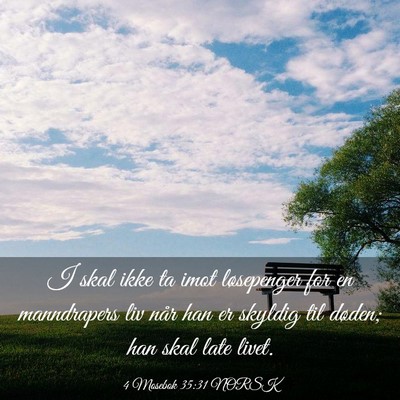 Picture 03 - 4 Mosebok 35:31 NORSK - I skal ikke ta imot løsepenger for en - Bible Verse Picture