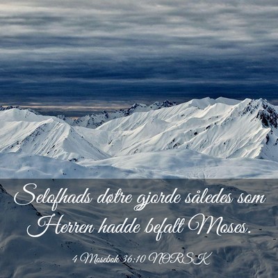 Picture 03 - 4 Mosebok 36:10 NORSK - Selofhads døtre gjorde således som Herren hadde - Bible Verse Picture