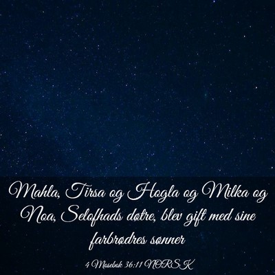 Picture 03 - 4 Mosebok 36:11 NORSK - Mahla, Tirsa og Hogla og Milka og Noa, Selofhads - Bible Verse Picture