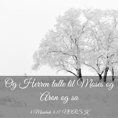 Picture 03 - 4 Mosebok 4:17 NORSK - Og Herren talte til Moses og Aron og - Bible Verse Picture