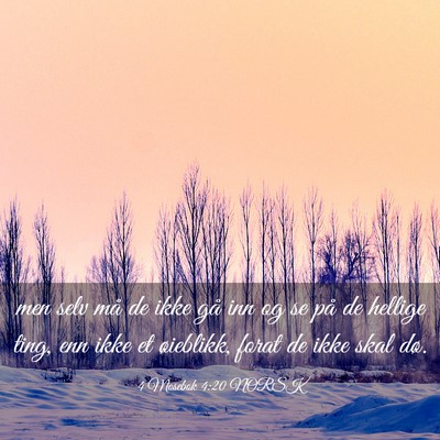 Picture 03 - 4 Mosebok 4:20 NORSK - men selv må de ikke gå inn og se på de hellige - Bible Verse Picture
