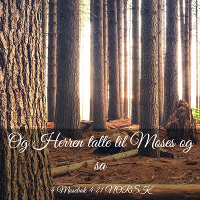 Picture 03 - 4 Mosebok 4:21 NORSK - Og Herren talte til Moses og - Bible Verse Picture