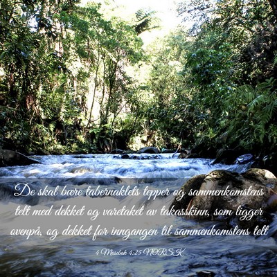 Picture 03 - 4 Mosebok 4:25 NORSK - De skal bære tabernaklets tepper og - Bible Verse Picture