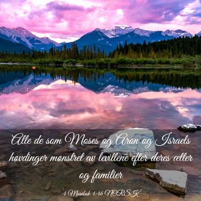 Picture 03 - 4 Mosebok 4:46 NORSK - Alle de som Moses og Aron og Israels høvdinger - Bible Verse Picture