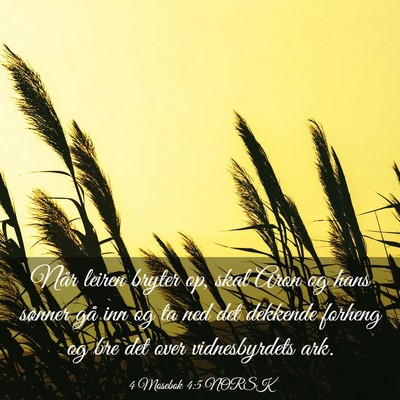 Picture 03 - 4 Mosebok 4:5 NORSK - Når leiren bryter op, skal Aron og hans sønner - Bible Verse Picture