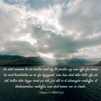 Picture 03 - 4 Mosebok 5:15 NORSK - da skal mannen ta sin hustru med sig til presten - Bible Verse Picture