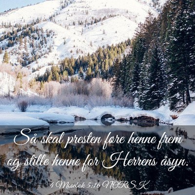 Picture 03 - 4 Mosebok 5:16 NORSK - Så skal presten føre henne frem og stille henne - Bible Verse Picture