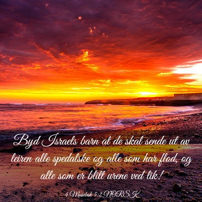 Picture 03 - 4 Mosebok 5:2 NORSK - Byd Israels barn at de skal sende ut av leiren - Bible Verse Picture