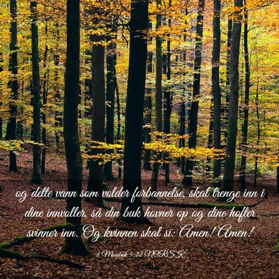 Picture 03 - 4 Mosebok 5:22 NORSK - og dette vann som volder forbannelse, skal trenge - Bible Verse Picture