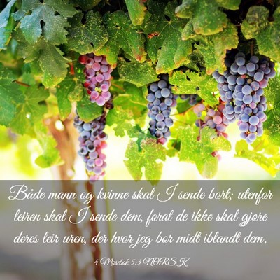 Picture 03 - 4 Mosebok 5:3 NORSK - Både mann og kvinne skal I sende bort; utenfor - Bible Verse Picture