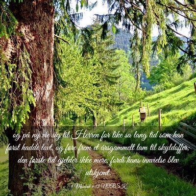 Picture 03 - 4 Mosebok 6:12 NORSK - og på ny vie sig til Herren for like sa lang tid - Bible Verse Picture