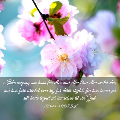 Picture 03 - 4 Mosebok 6:7 NORSK - Ikke engang om hans far eller mor eller bror - Bible Verse Picture