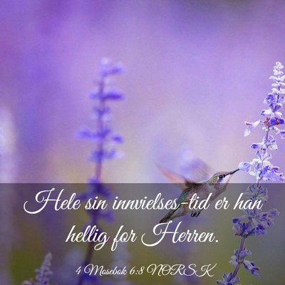 Picture 03 - 4 Mosebok 6:8 NORSK - Hele sin innvielses-tid er han hellig for - Bible Verse Picture