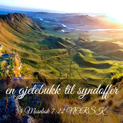 Picture 03 - 4 Mosebok 7:22 NORSK - en gjetebukk til - Bible Verse Picture