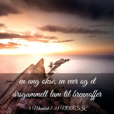 Picture 03 - 4 Mosebok 7:33 NORSK - en ung okse, en vær og et årsgammelt lam til - Bible Verse Picture