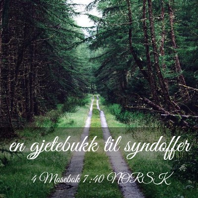 Picture 03 - 4 Mosebok 7:40 NORSK - en gjetebukk til - Bible Verse Picture