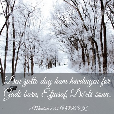 Picture 03 - 4 Mosebok 7:42 NORSK - Den sjette dag kom høvdingen for Gads barn, - Bible Verse Picture