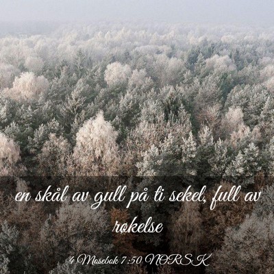 Picture 03 - 4 Mosebok 7:50 NORSK - en skål av gull på ti sekel, full av - Bible Verse Picture