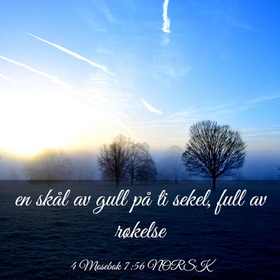 Picture 03 - 4 Mosebok 7:56 NORSK - en skål av gull på ti sekel, full av - Bible Verse Picture