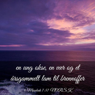 Picture 03 - 4 Mosebok 7:57 NORSK - en ung okse, en vær og et årsgammelt lam til - Bible Verse Picture