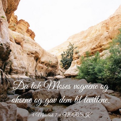 Picture 03 - 4 Mosebok 7:6 NORSK - Da tok Moses vognene og oksene og gav dem til - Bible Verse Picture
