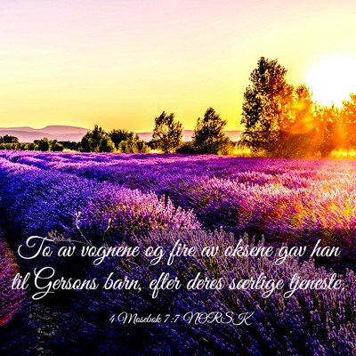 Picture 03 - 4 Mosebok 7:7 NORSK - To av vognene og fire av oksene gav han til - Bible Verse Picture