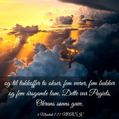Picture 03 - 4 Mosebok 7:77 NORSK - og til takkoffer to okser, fem værer, fem bukker - Bible Verse Picture