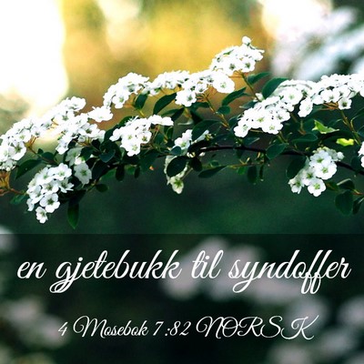 Picture 03 - 4 Mosebok 7:82 NORSK - en gjetebukk til - Bible Verse Picture