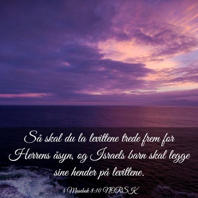 Picture 03 - 4 Mosebok 8:10 NORSK - Så skal du la levittene trede frem for Herrens - Bible Verse Picture