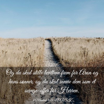 Picture 03 - 4 Mosebok 8:13 NORSK - Og du skal stille levittene frem for Aron og hans - Bible Verse Picture
