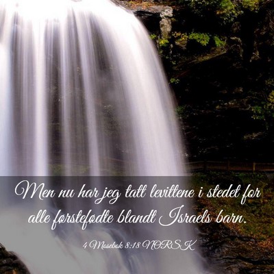 Picture 03 - 4 Mosebok 8:18 NORSK - Men nu har jeg tatt levittene i stedet for alle - Bible Verse Picture