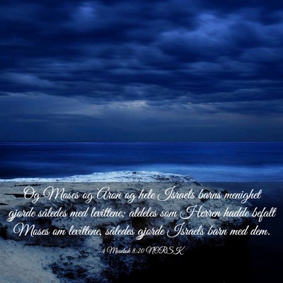 Picture 03 - 4 Mosebok 8:20 NORSK - Og Moses og Aron og hele Israels barns menighet - Bible Verse Picture