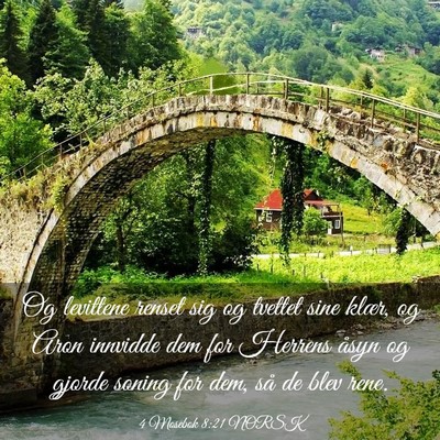 Picture 03 - 4 Mosebok 8:21 NORSK - Og levittene renset sig og tvettet sine klær, og - Bible Verse Picture