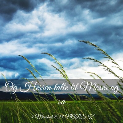 Picture 03 - 4 Mosebok 8:23 NORSK - Og Herren talte til Moses og - Bible Verse Picture