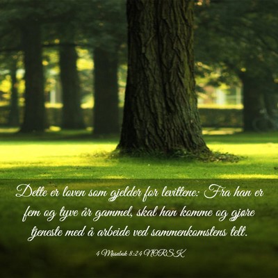 Picture 03 - 4 Mosebok 8:24 NORSK - Dette er loven som gjelder for levittene: Fra han - Bible Verse Picture