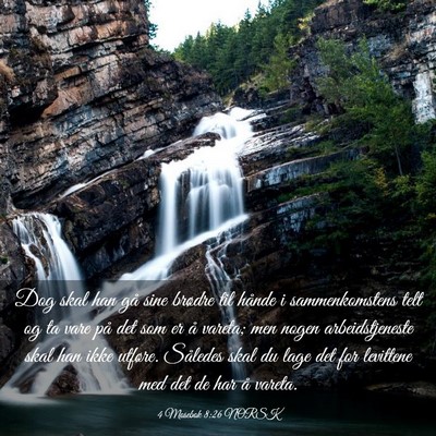 Picture 03 - 4 Mosebok 8:26 NORSK - Dog skal han gå sine brødre til hånde i - Bible Verse Picture