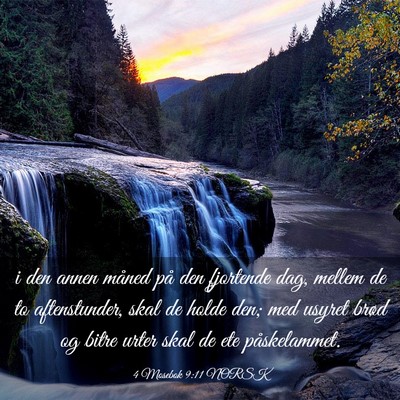 Picture 03 - 4 Mosebok 9:11 NORSK - i den annen måned på den fjortende dag, mellem - Bible Verse Picture