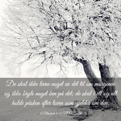 Picture 03 - 4 Mosebok 9:12 NORSK - De skal ikke levne noget av det til om morgenen - Bible Verse Picture