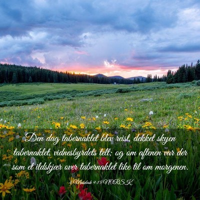 Picture 03 - 4 Mosebok 9:15 NORSK - Den dag tabernaklet blev reist, dekket skyen - Bible Verse Picture