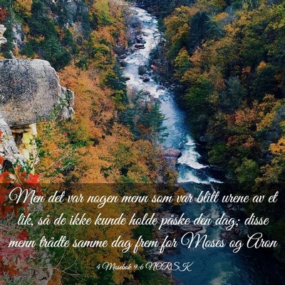 Picture 03 - 4 Mosebok 9:6 NORSK - Men det var nogen menn som var blitt urene av et - Bible Verse Picture