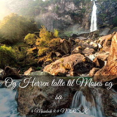 Picture 03 - 4 Mosebok 9:9 NORSK - Og Herren talte til Moses og - Bible Verse Picture