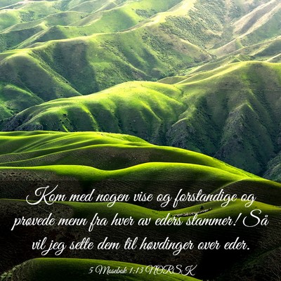 Picture 03 - 5 Mosebok 1:13 NORSK - Kom med nogen vise og forstandige og prøvede - Bible Verse Picture