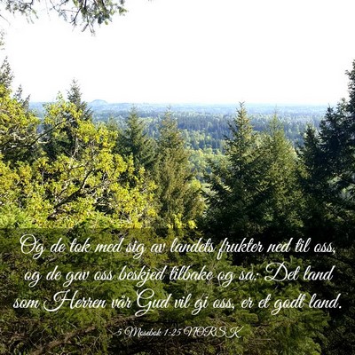 Picture 03 - 5 Mosebok 1:25 NORSK - Og de tok med sig av landets frukter ned til oss, - Bible Verse Picture
