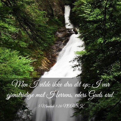 Picture 03 - 5 Mosebok 1:26 NORSK - Men I vilde ikke dra dit op; I var gjenstridige - Bible Verse Picture