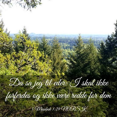 Picture 03 - 5 Mosebok 1:29 NORSK - Da sa jeg til eder: I skal ikke forferdes og ikke - Bible Verse Picture